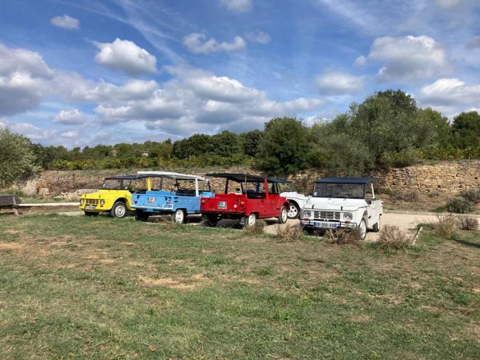 Sur les chapeaux de roue (de méharis)